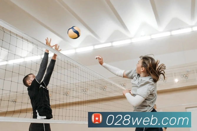 App Interface Preview