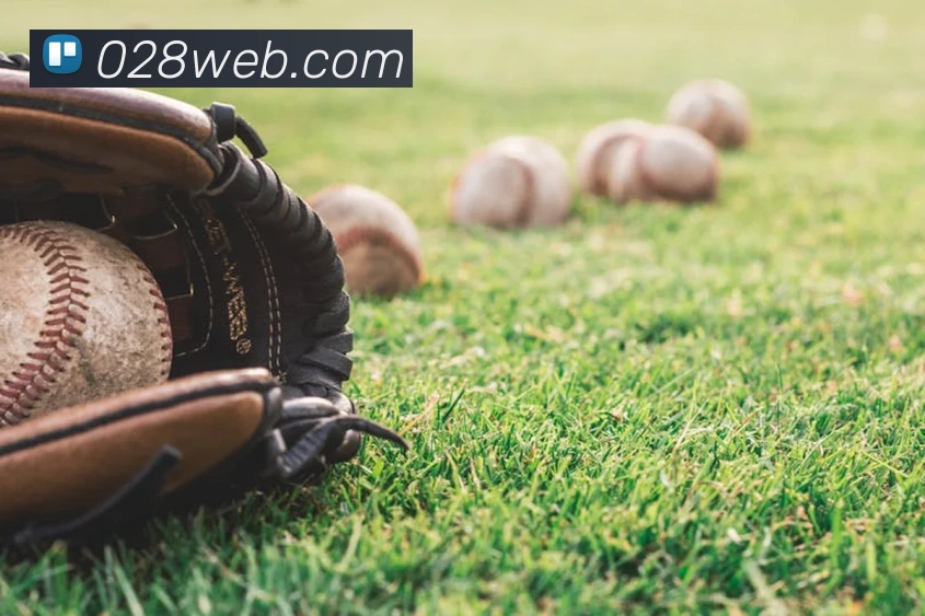 完美体育唯一官网APP 封面图